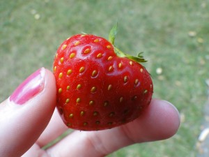 heart strawberry