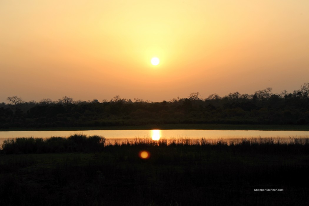 sunset in Kaziranga National Park, India