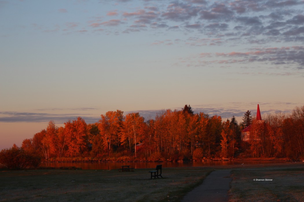 La Ronge trees sunrise