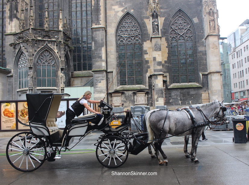 Vienna, Austria, St Stephens Church