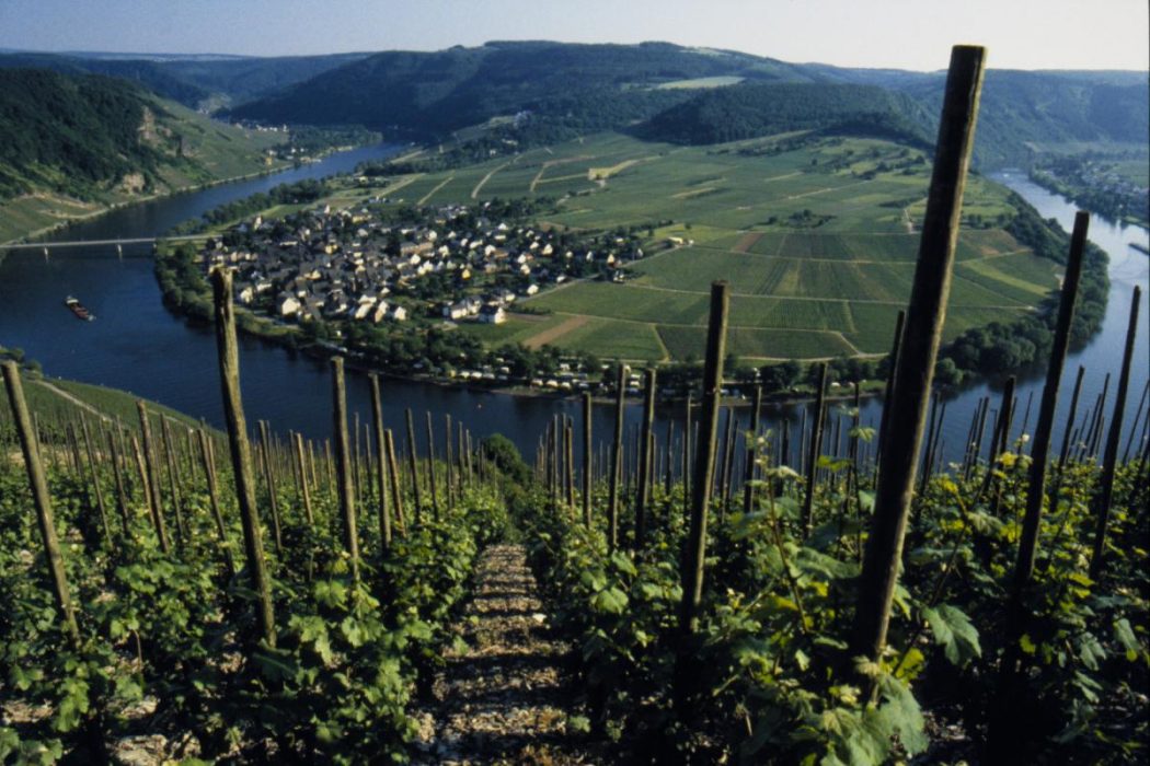 Mosel wine region, Moselle River, Germany 
