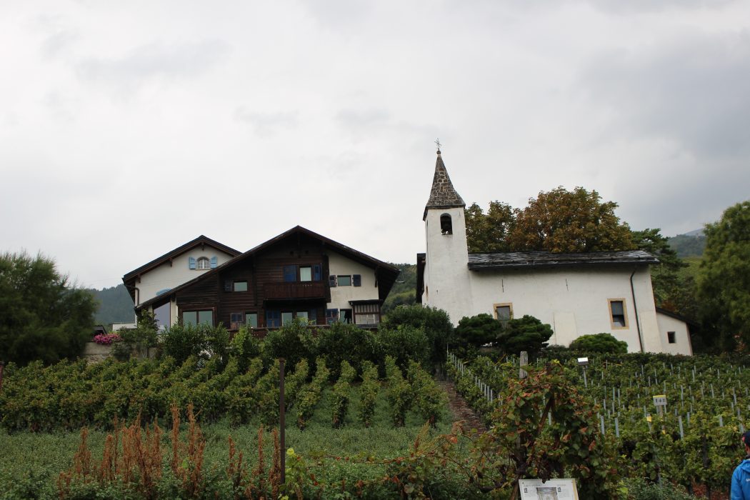 Marche des Cepages, wine, switzerland, swiss, valais, valaiswallis, festival, travel