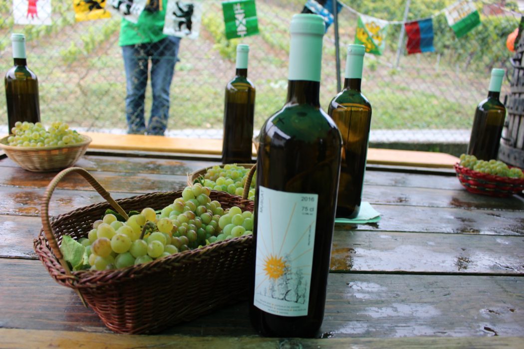 Marche des Cepages, wine, switzerland, swiss, valais, valaiswallis, festival, travel