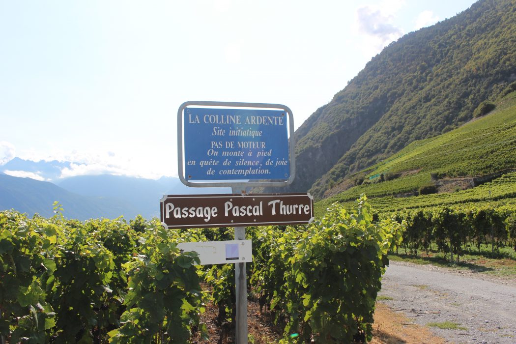 Pacal Thurre passage, Dalai Lama vineyard, Farinet, Switzerland, Saillon 