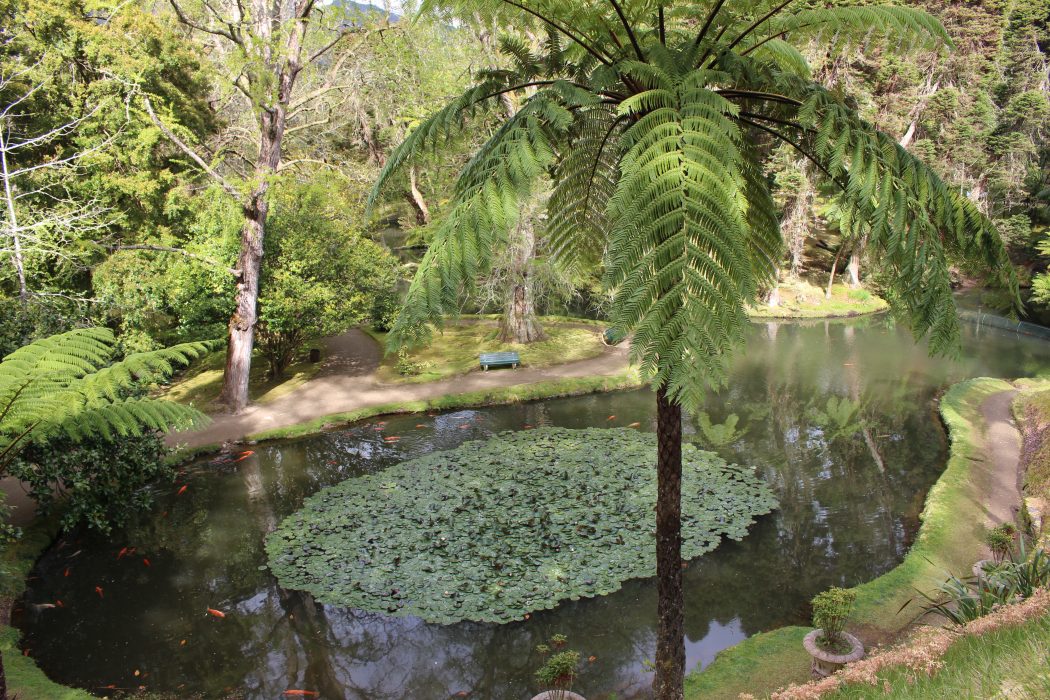 Shannon Skinner travels to Sao Miguel, Azores